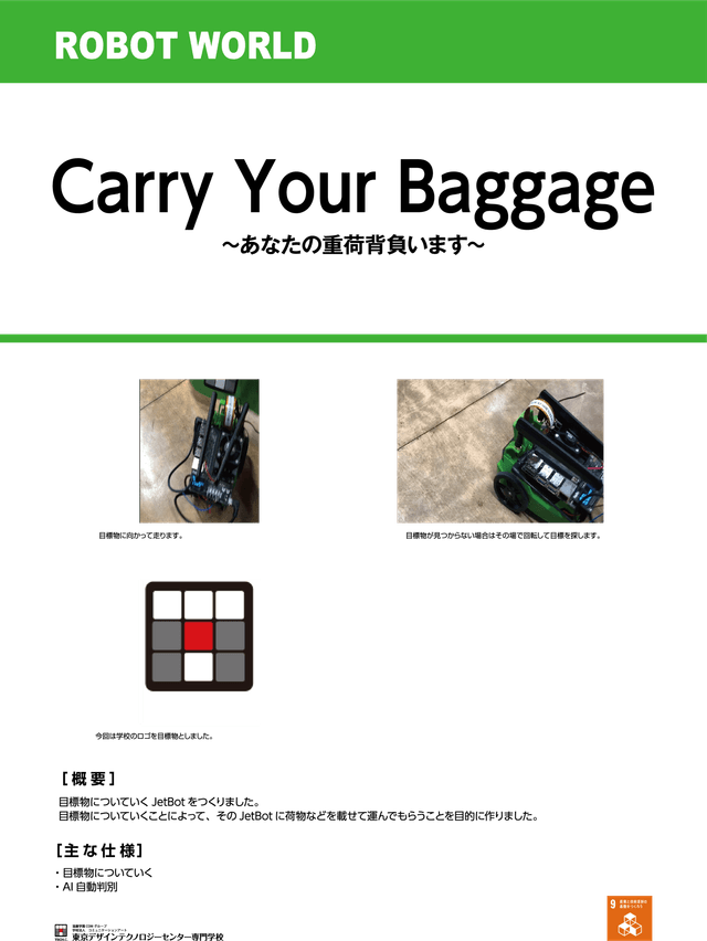 Carry Your Baggage